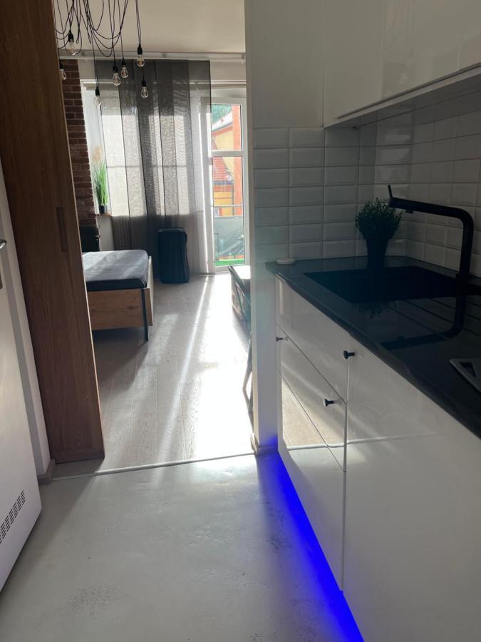 Moderni Industry Appartement Prague